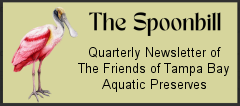 Spoonbill Newsletter